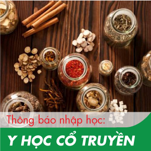 Mục tiêu đào tạo ngành Y học cổ truyền tại Việt Nam